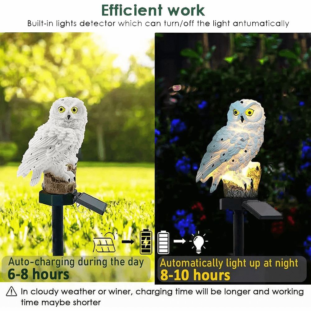 Outdoor Owl Solar Powered Lanterns (2-Pack)