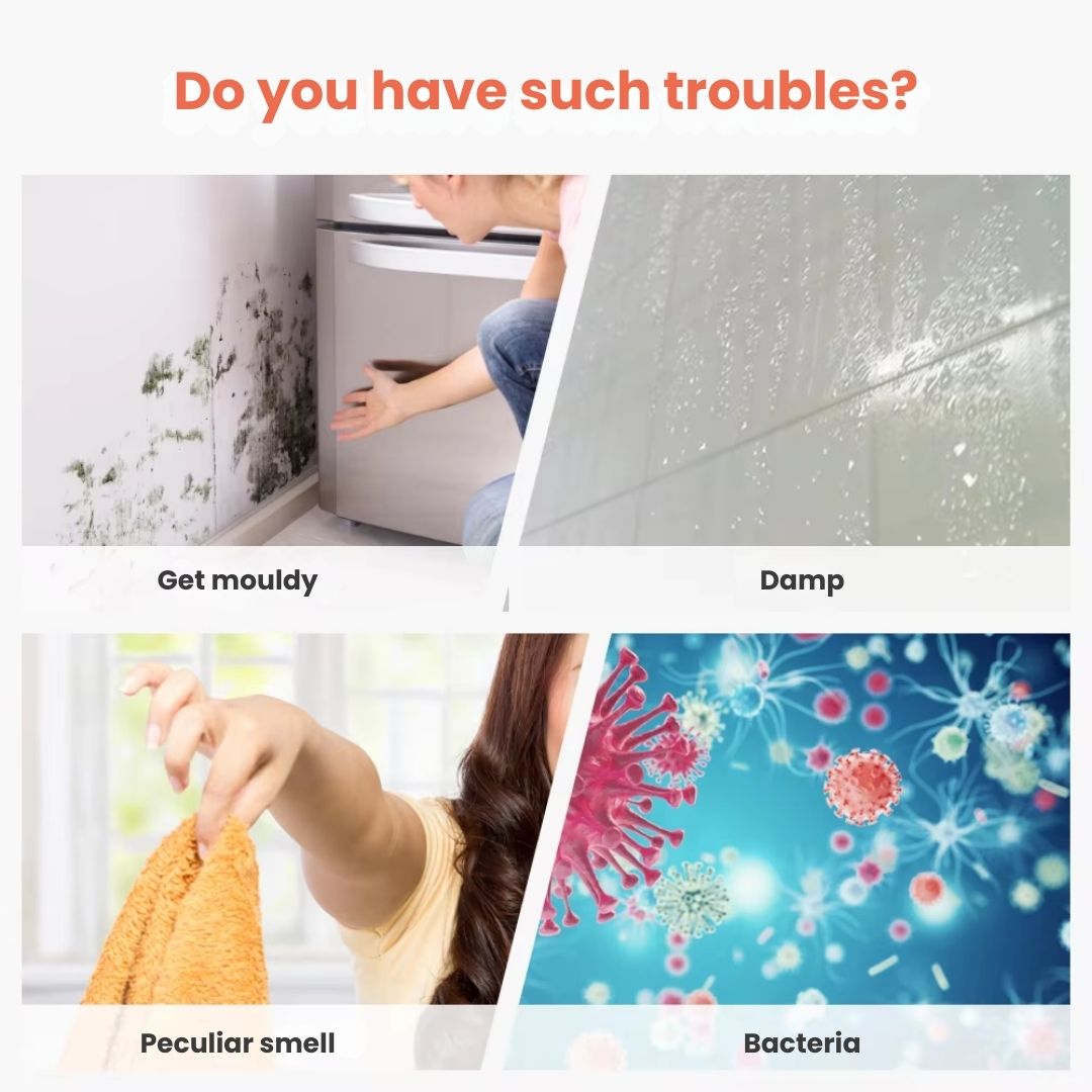 Compact Home Dehumidifier – 250ml Daily