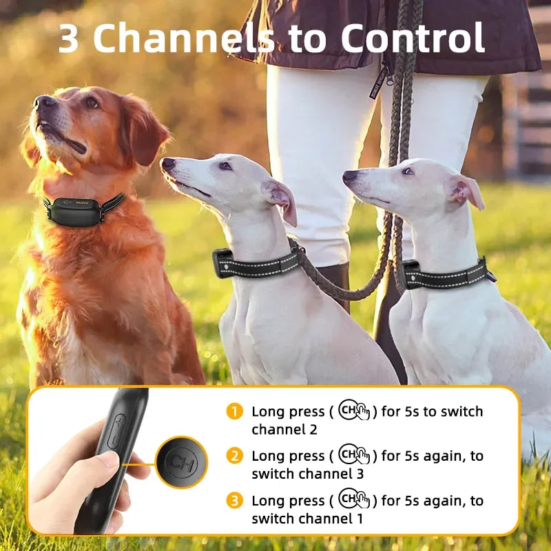 Pet Training Collar Waterproof Rechargeable Remote Control