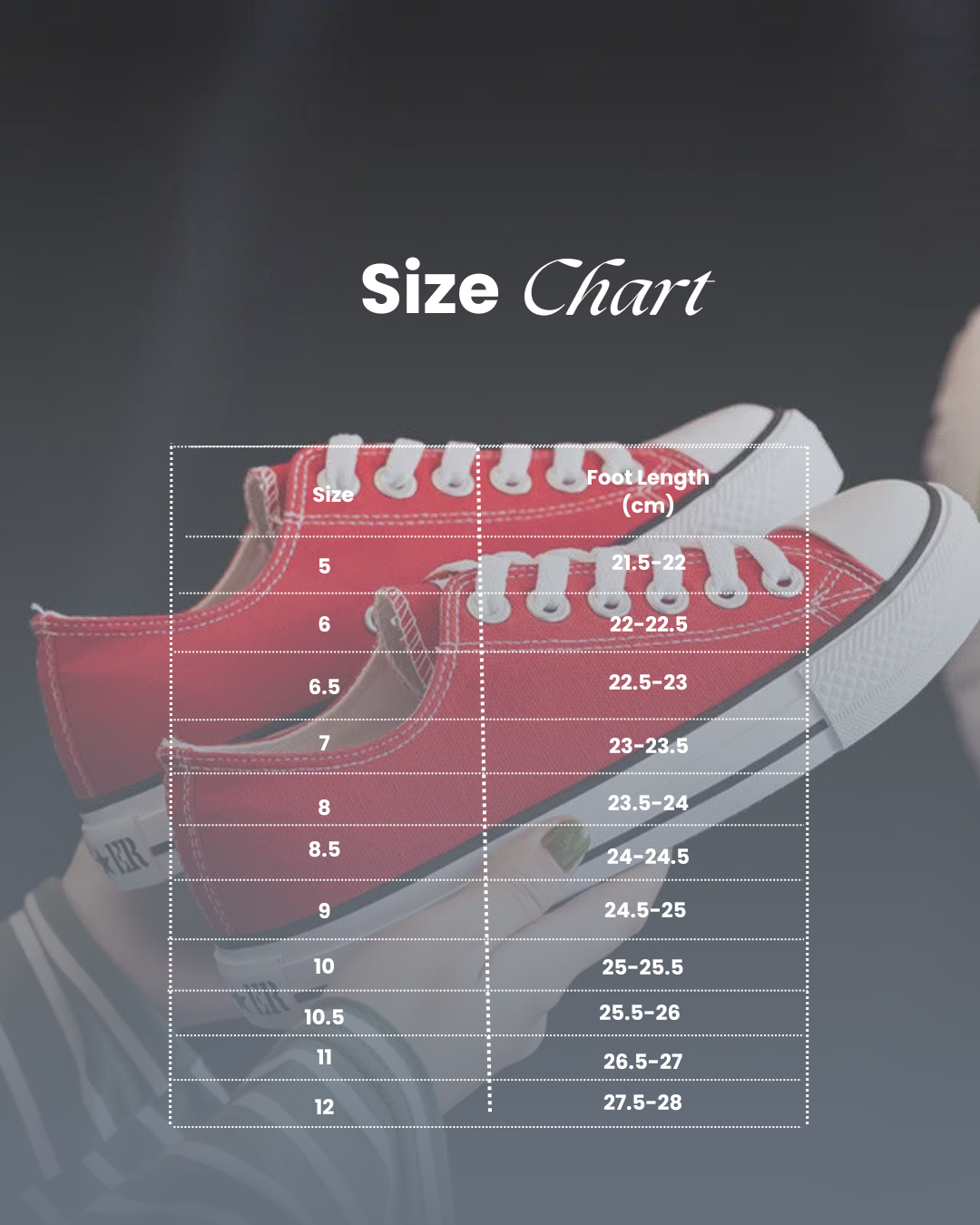 Comfortable Womens Canvas Low Top Sneakers Casual Shoes
