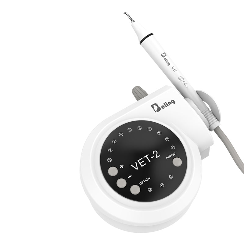 Professional Dental Cleaner with Interchangeable Heads