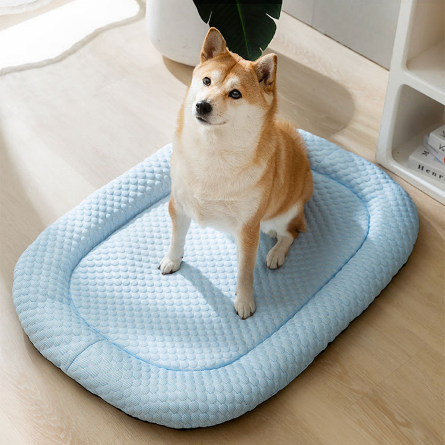Cool Gel Comfort Pet Mattress