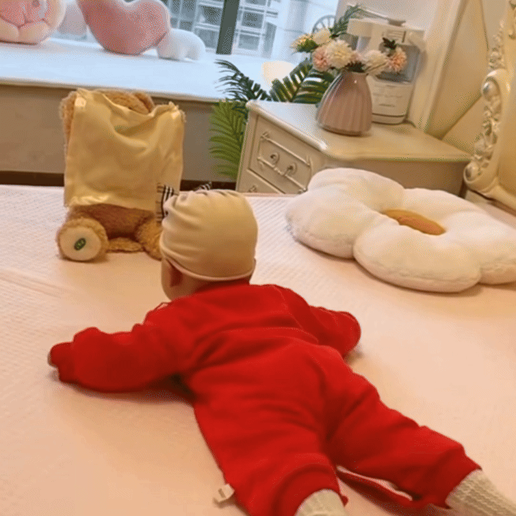 Cute Talking Teddy Bear Toy for Kids