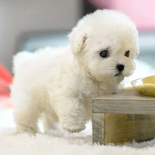 Cuddly Realistic Plush Dog Toy