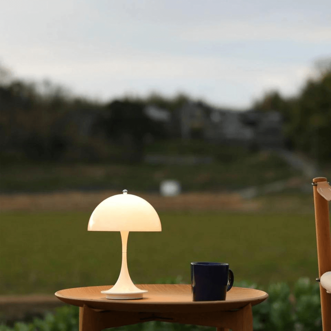 Dimmable Portable LED Desk Light