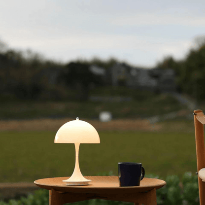 Dimmable Portable LED Desk Light