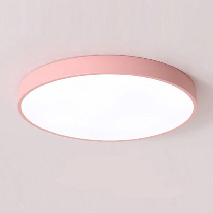Round Indoor LED Ceiling Light Fixture