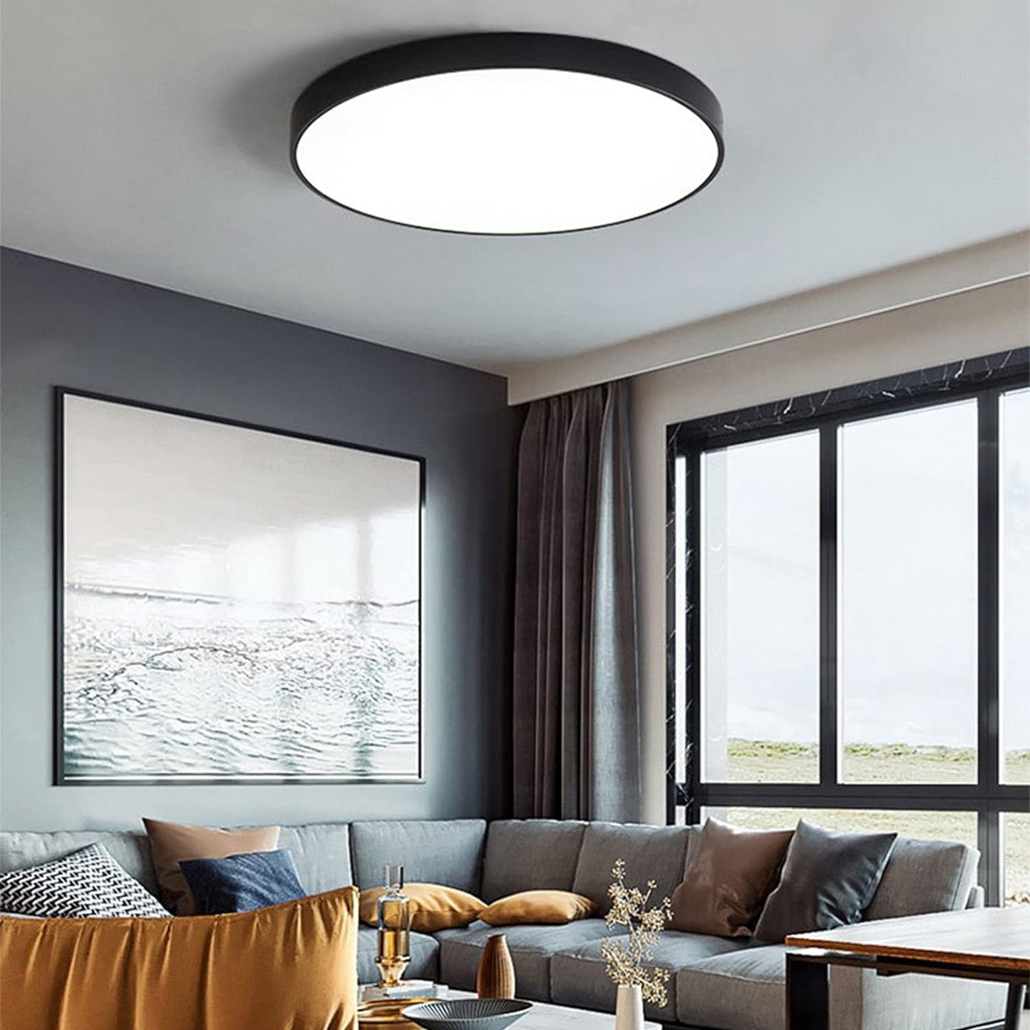 Round Indoor LED Ceiling Light Fixture