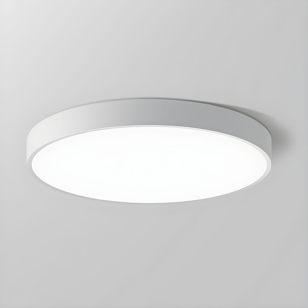 Round Indoor LED Ceiling Light Fixture