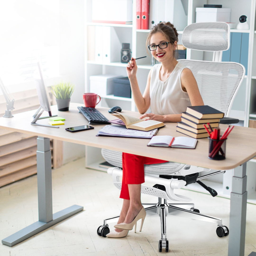 Comfortable Executive Office Chair