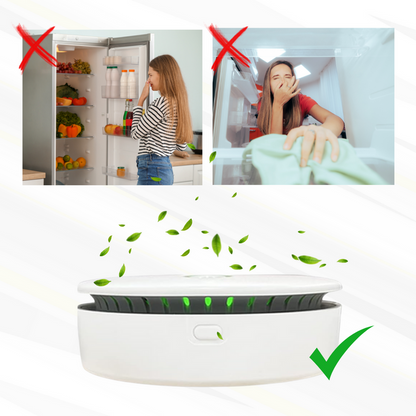 Compact Air Purifier for Home and Pet Odors