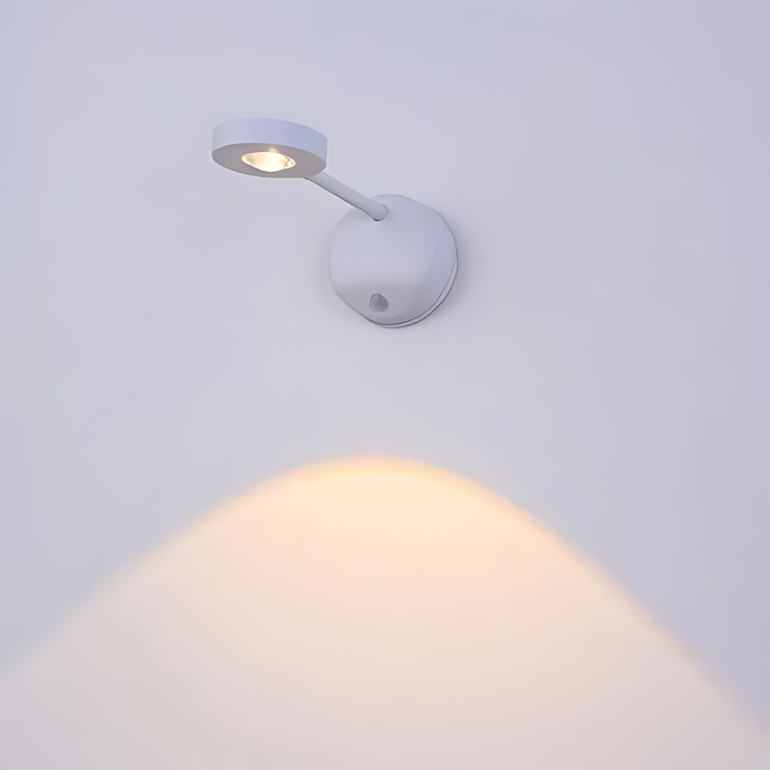 Motion Activated Wireless LED Security Light