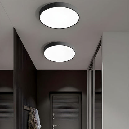 Round Indoor LED Ceiling Light Fixture