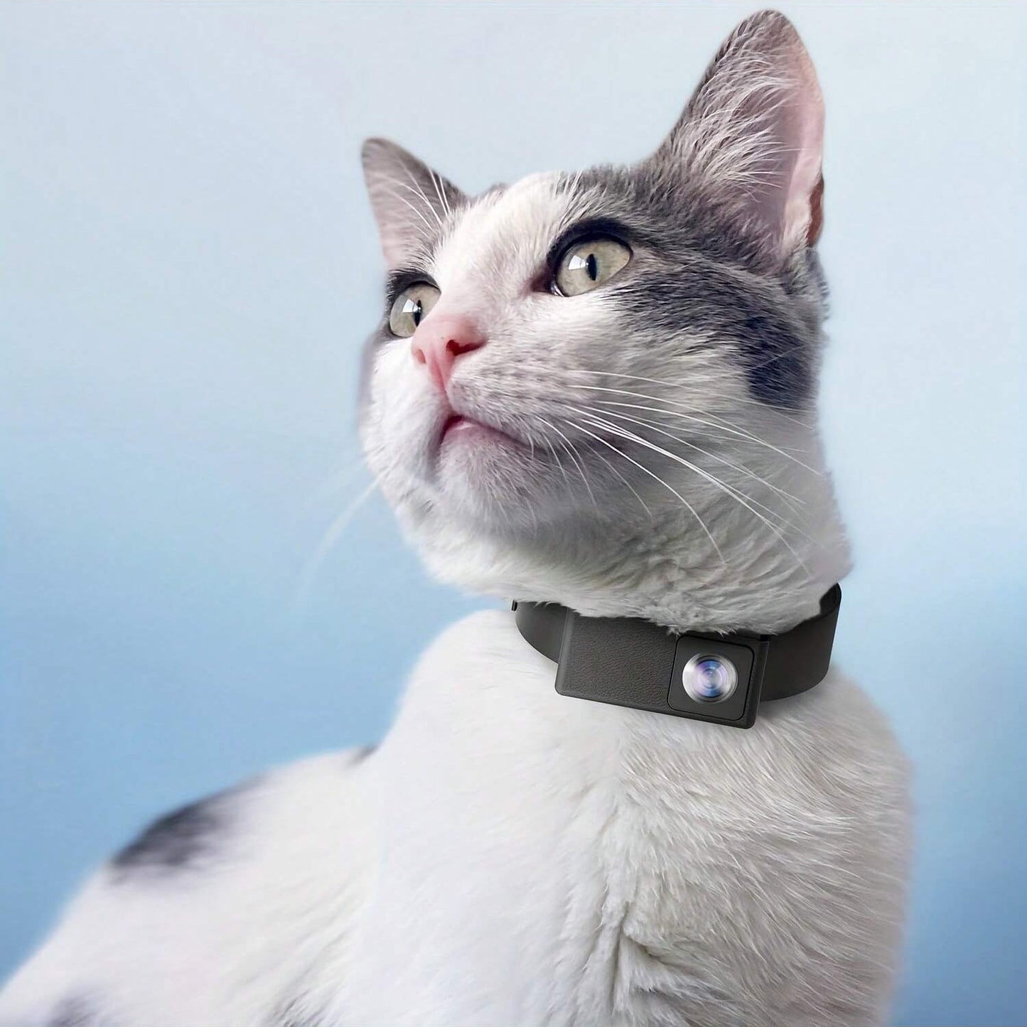 Wireless Pet Cam with 1080P HD Video and Night Vision - Luxivelle
