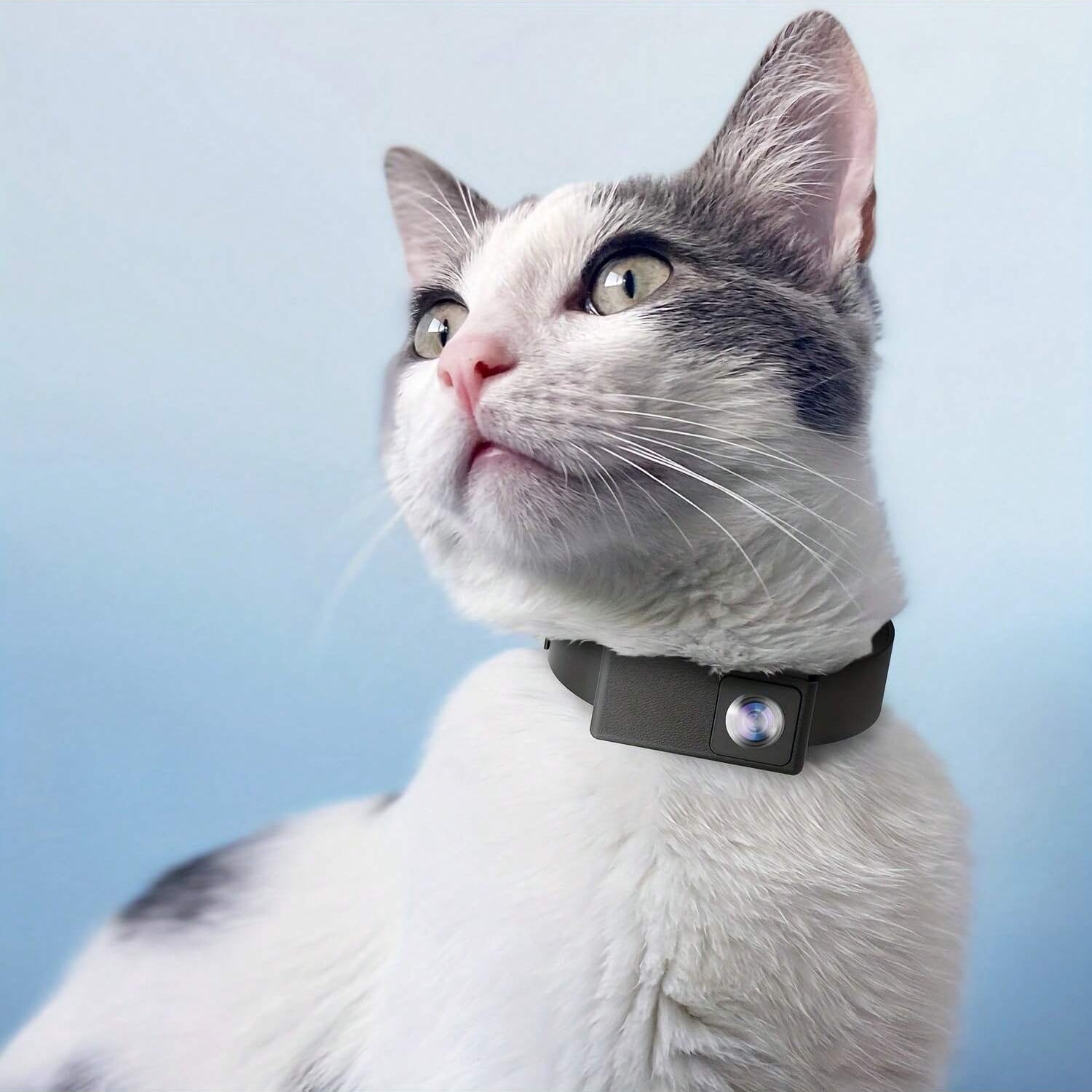 Wireless Pet Cam with 1080P HD Video and Night Vision - Luxivelle