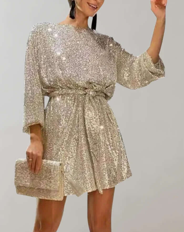 Sparkly Fit and Flare Mini Dress
