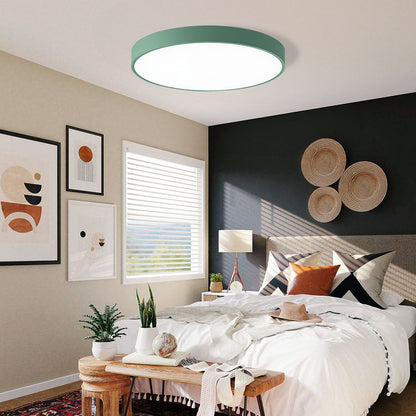 Round Indoor LED Ceiling Light Fixture