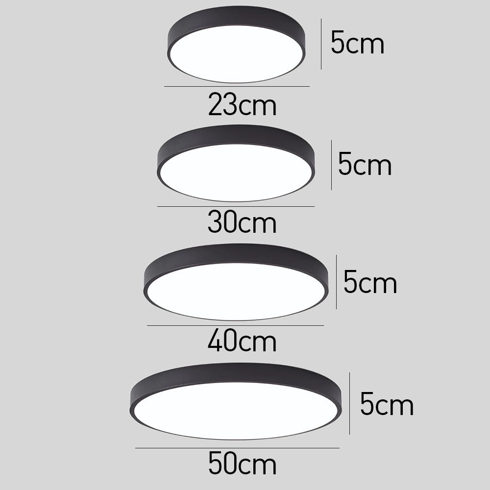 Round Indoor LED Ceiling Light Fixture