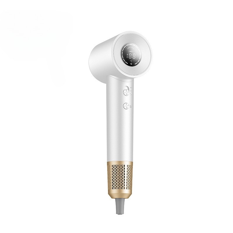 Fast Ionic Pro Hair Dryer