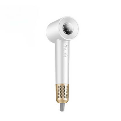 Fast Ionic Pro Hair Dryer
