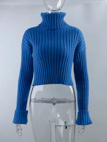 Warm Ladies Cozy Crew Neck Sweater