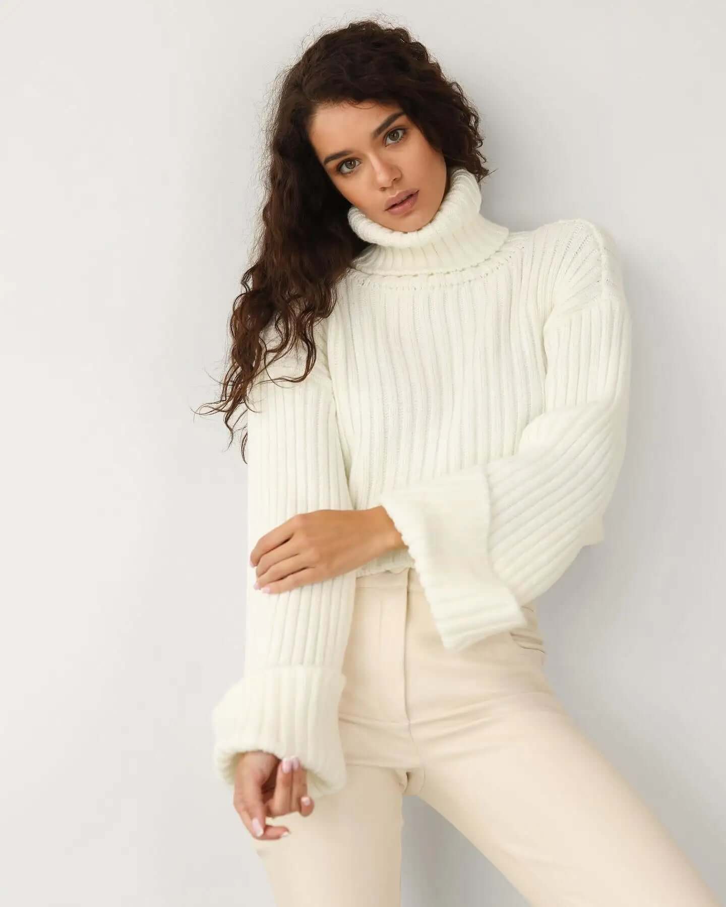 Warm Ladies Cozy Crew Neck Sweater