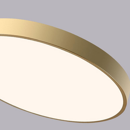 Round Indoor LED Ceiling Light Fixture