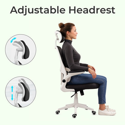Ergonomic Mesh Desk Chair with Headrest