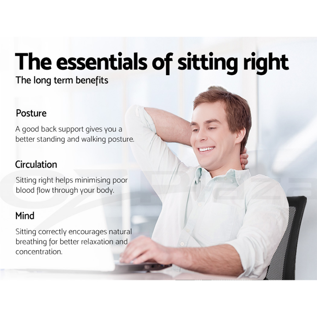 Comfortable Ergonomic Swivel Office Chair