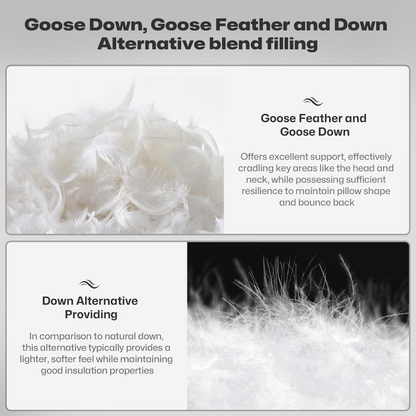 Soft Feather Pillow – Plush Sleep Comfort