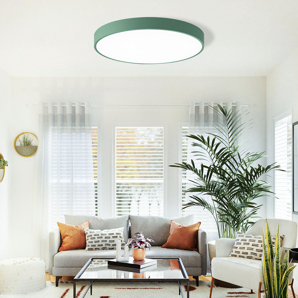 Round Indoor LED Ceiling Light Fixture