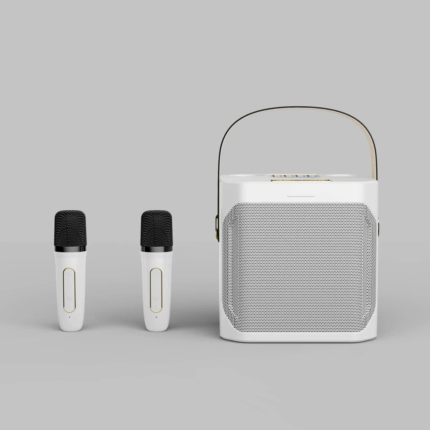 Portable Wireless Karaoke Speaker System