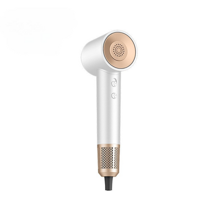 Fast Ionic Pro Hair Dryer