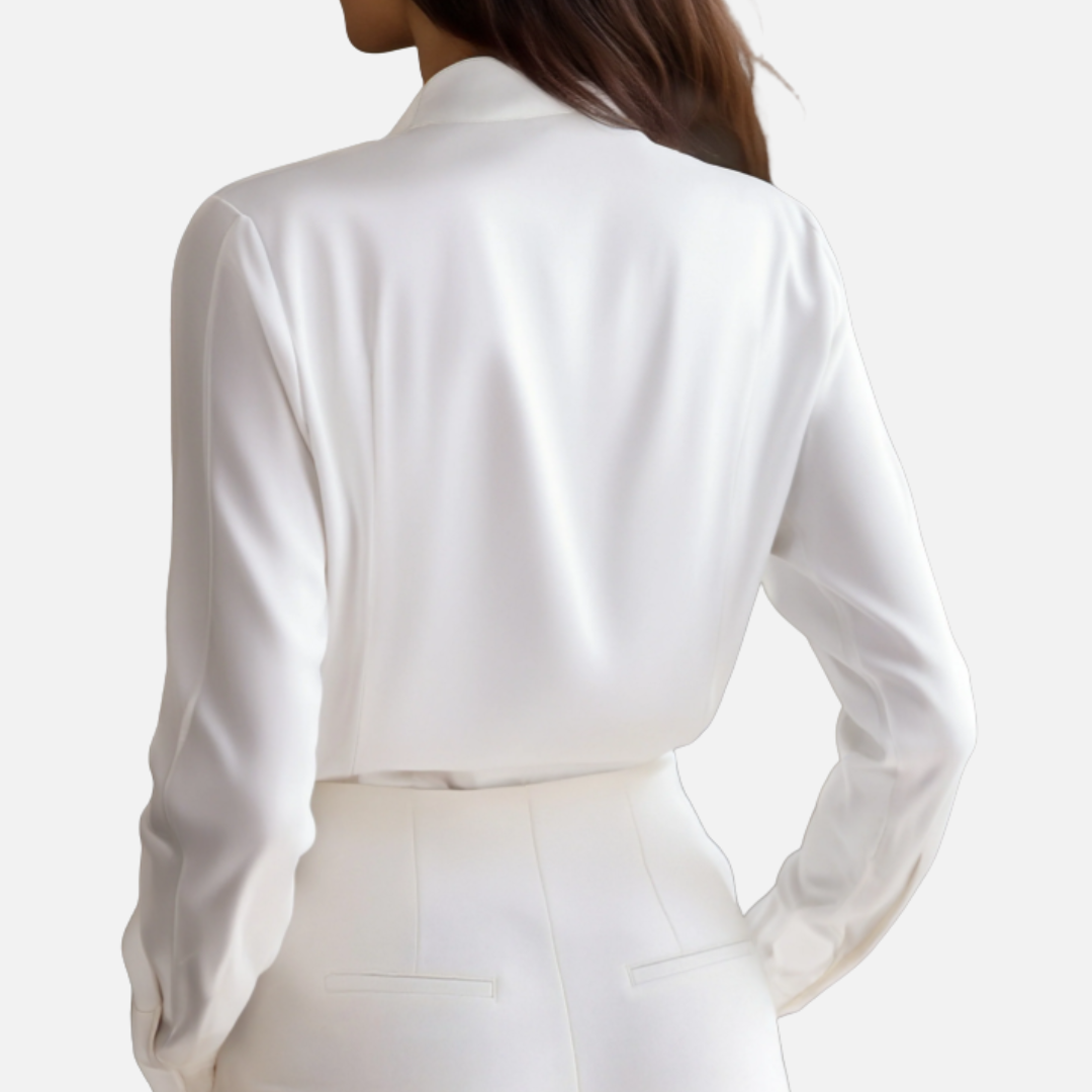 Women's Elegant Formal Shirt Button Down Blouse