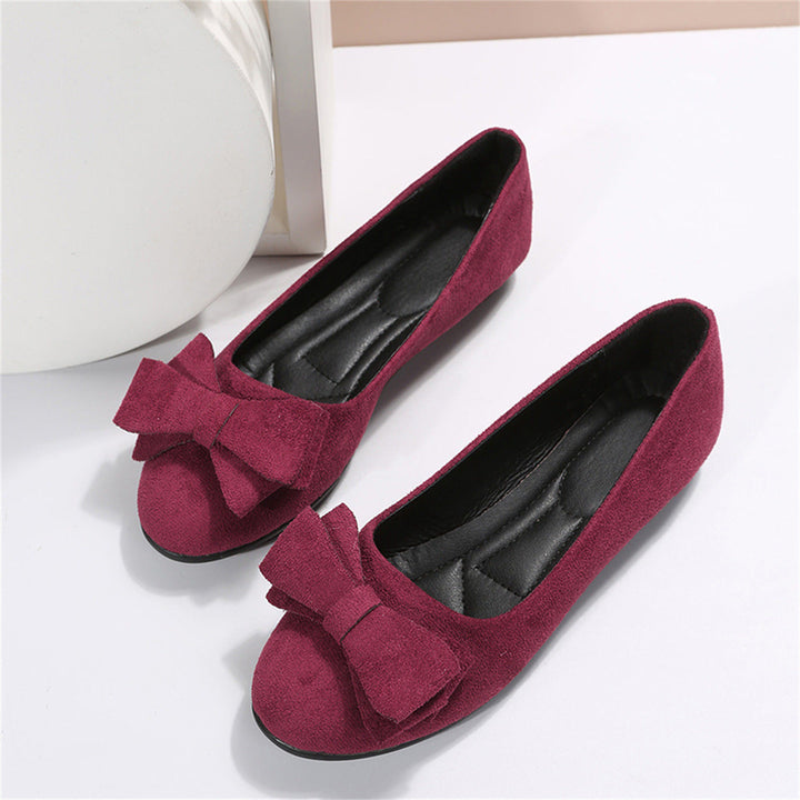 Ladies Elegant Ribbon Shoes