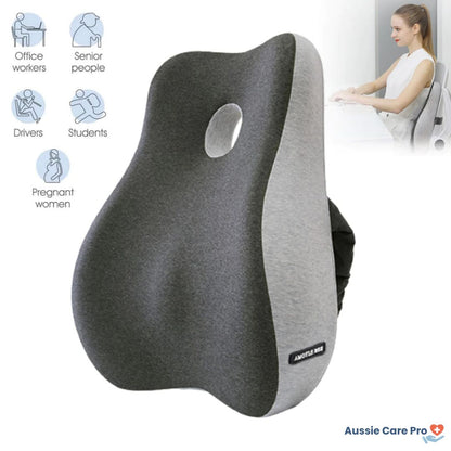 Best Back Support Cushion Pillow