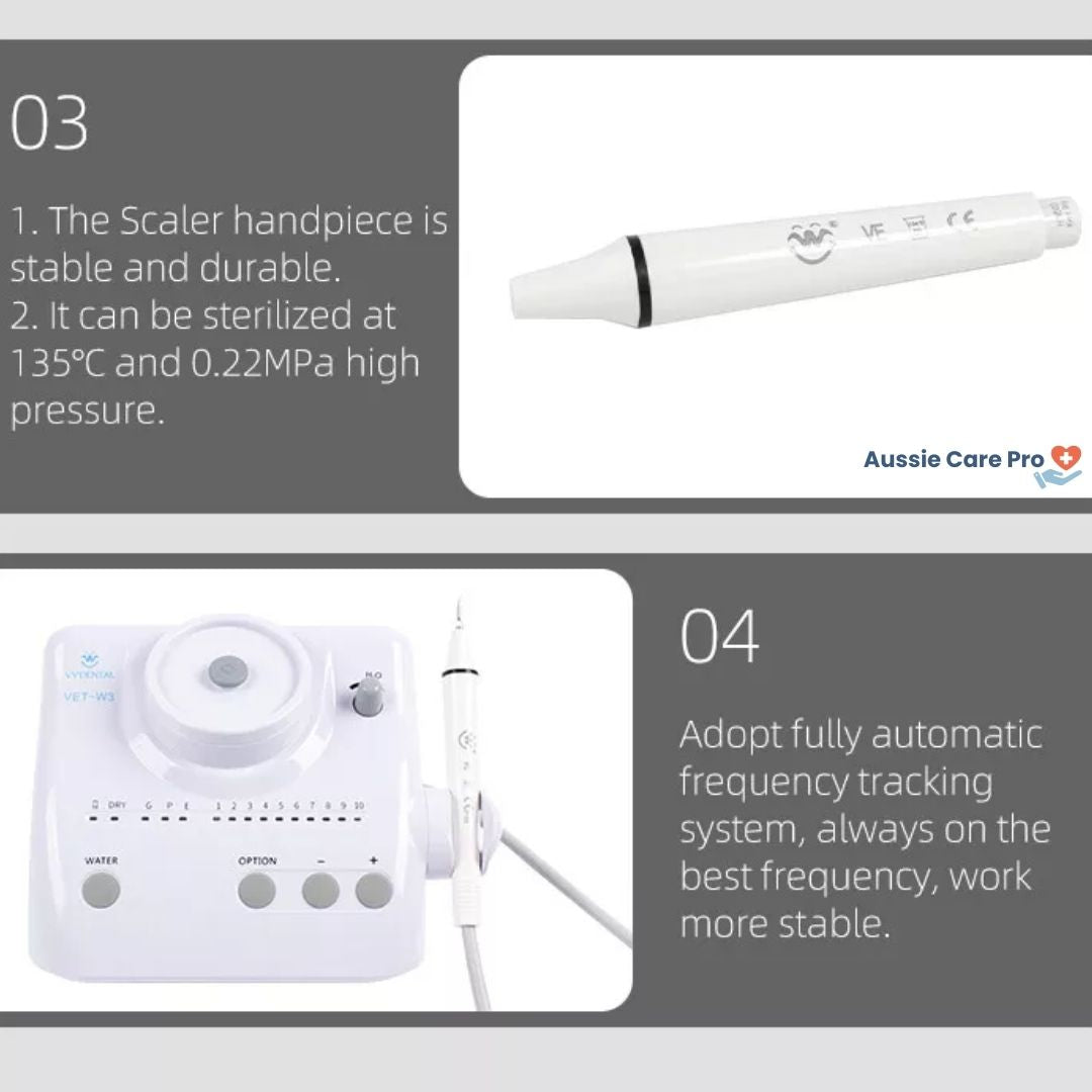 Professional Dental Cleaner with Interchangeable Heads