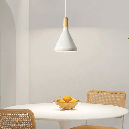 Sleek Metal Hanging Light