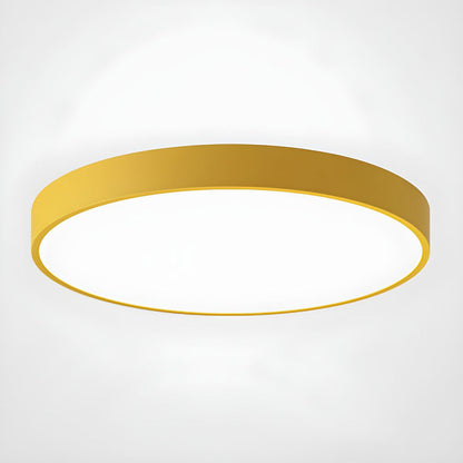 Round Indoor LED Ceiling Light Fixture