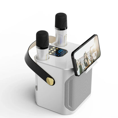 Portable Wireless Karaoke Speaker System