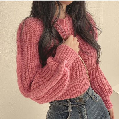 Ladies' Cozy Cold Weather Crew Neck Sweater