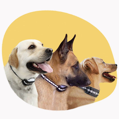 Easy Install Wireless Pet Fence & Training Collar