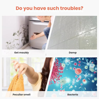 Compact Home Dehumidifier – 250ml Daily