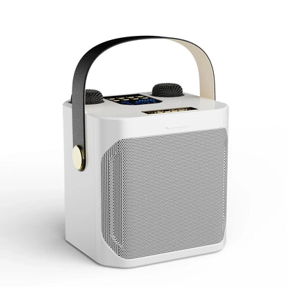Portable Wireless Karaoke Speaker System