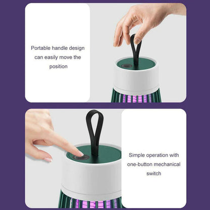 Effective Insect Killer for Home Protection