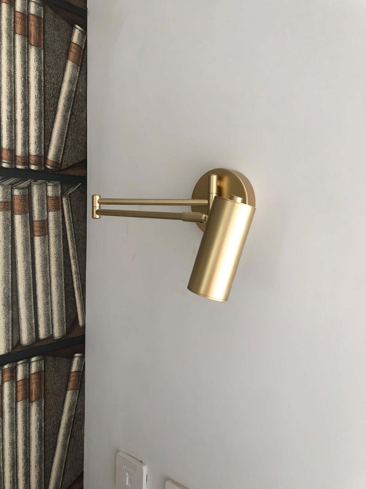 Flexible Brushed Steel LED Wall Light with Arm