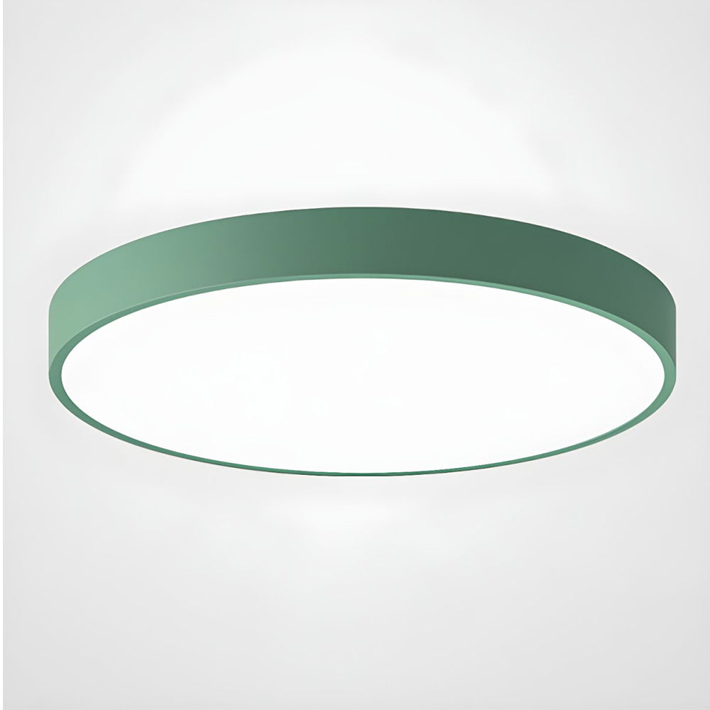 Round Indoor LED Ceiling Light Fixture