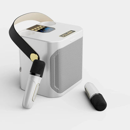 Portable Wireless Karaoke Speaker System