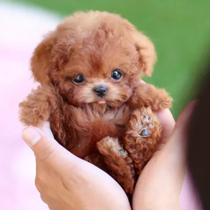 Cuddly Realistic Plush Dog Toy - Luxivelle