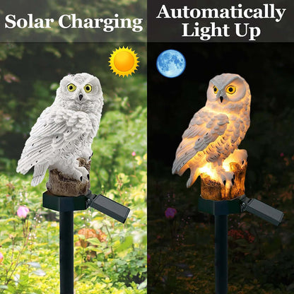 Outdoor Owl Solar Powered Lanterns (2-Pack)